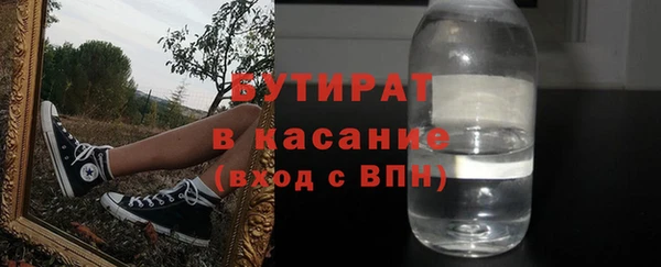 индика Гусев