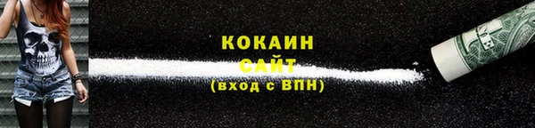 индика Гусев