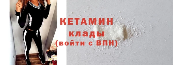 индика Гусев