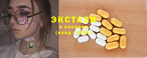 индика Гусев