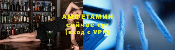 индика Гусев
