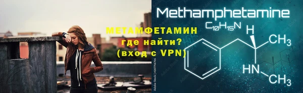 индика Гусев