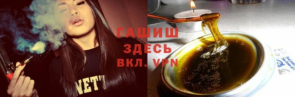 индика Гусев