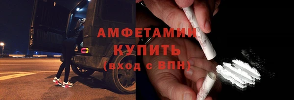 индика Гусев