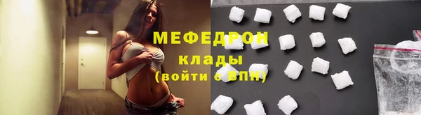 индика Гусев