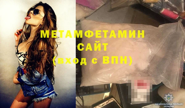 индика Гусев