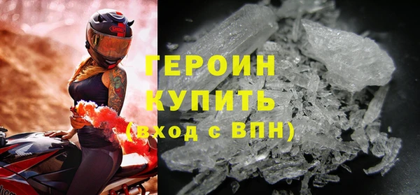 индика Гусев