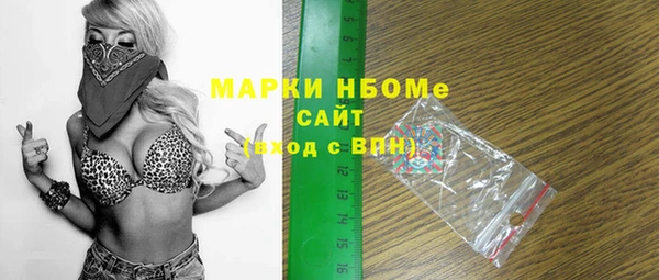 индика Гусев