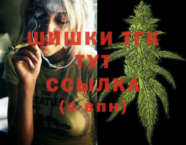 индика Гусев