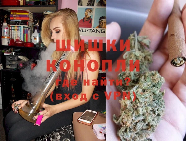 индика Гусев