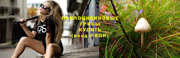 индика Гусев