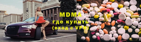 индика Гусев