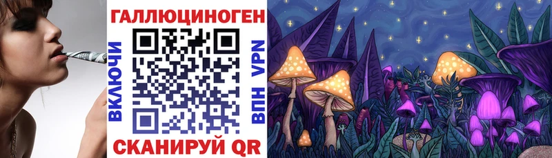 Купить где  Сибай  Псилоцибиновые грибы Magic Shrooms 